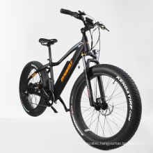 cheap price 36v 250w ebike fat tire electric fat bike